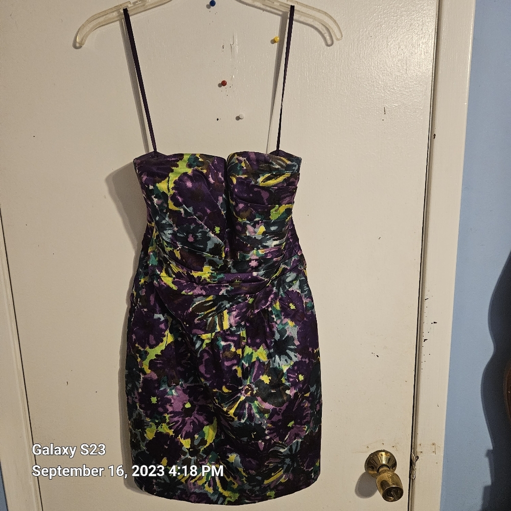 BCBG maxazria dress size 2